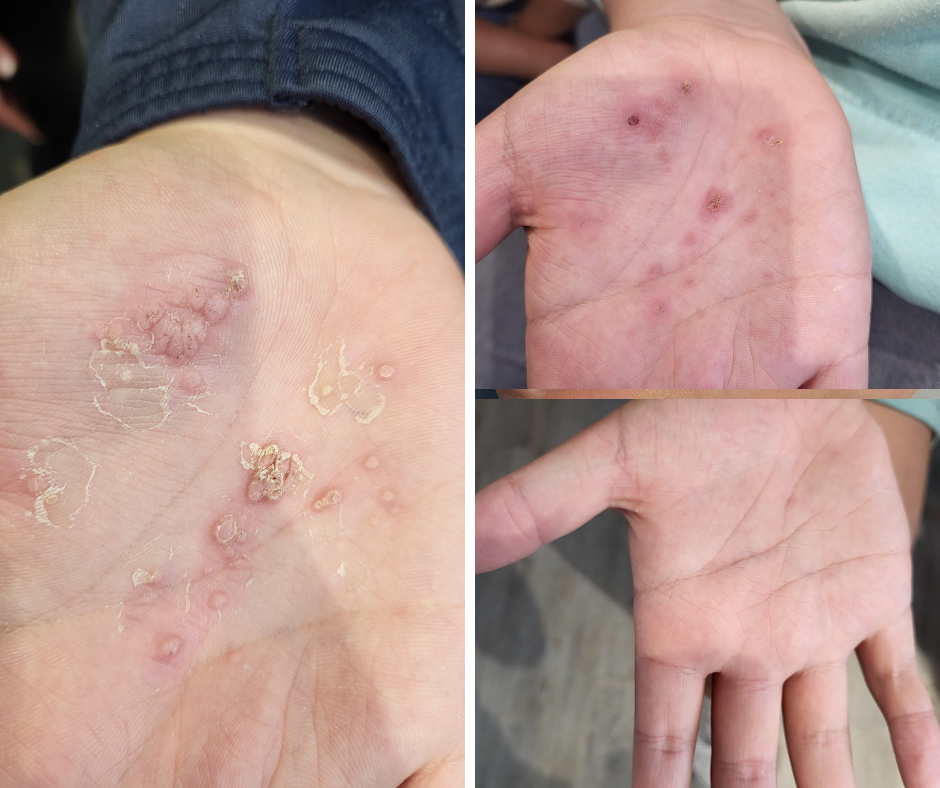 Projekt bez nazwy (2)