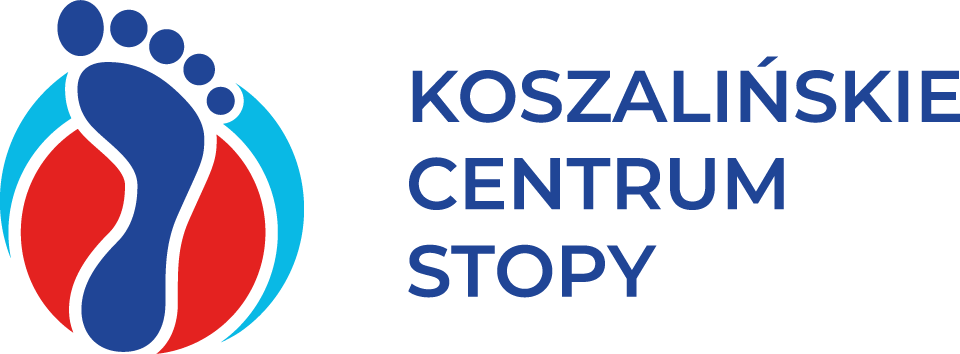 kcs_logo_kolor
